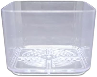 rePotme 3" Clear Succulent Pots - 3 Pack (Crystal Clear)