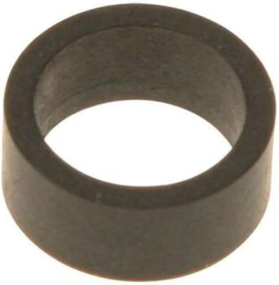 Gasket Ring:889520