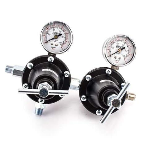 Binks, 85-453, Dual Regulator Assembly