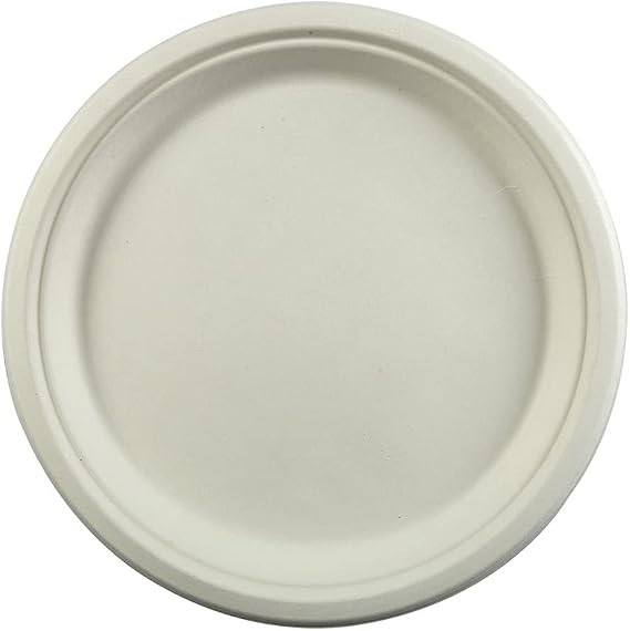 10" Compostable Plates / 250-ct. pack