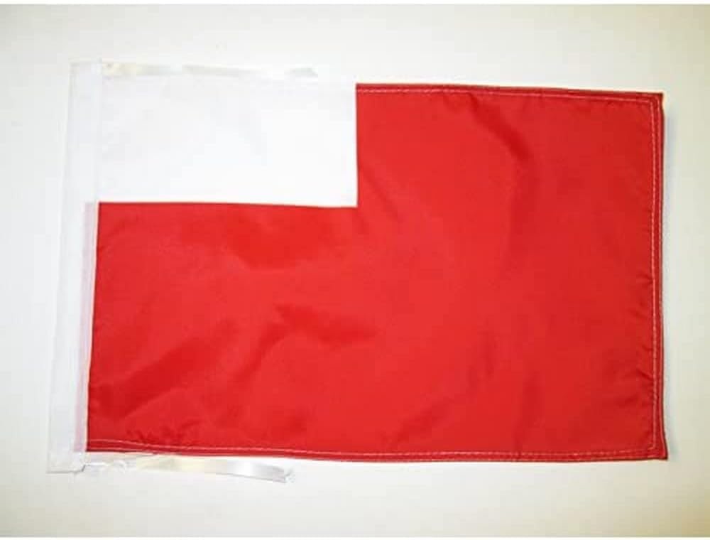 AZ FLAG Abu Dhabi Flag 18'' x 12'' cords - UAE Emirate of Abu Dhabi SMALL flags 30 x 45cm - Banner 18x12 in