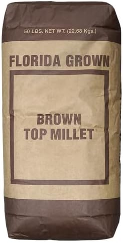Brown Top Millet Seed (1 Lb.)