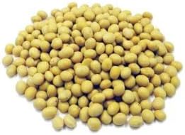 Jalpur Brand Soya Beans 100g – Whole, Raw & High-Protein Legumes for Cooking – Ideal for Soups, Stews, Soya Sauce, Oil, Vegan Recipes – Natural & Nutrient-Rich Superfood