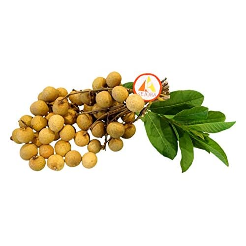 KEJORA FRESH LONGAN FRUIT 2 lb
