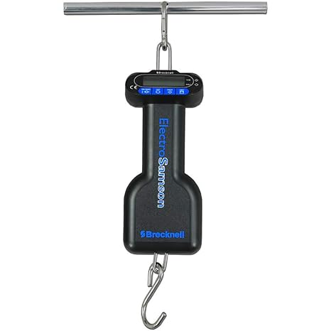 Hand Held Electronic Baby Scale, Capacity: 45kg x 0.05kg/99lb x 0.1lb/2oz by Brecknell