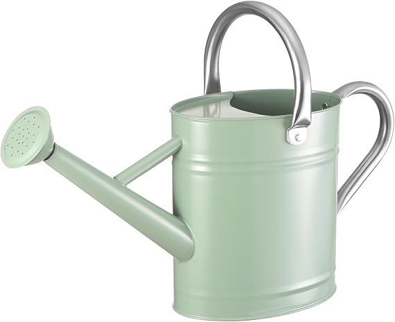 CherHome Watering Can for Outdoor Plants&Indoor Plants,Plant Watering Can 1 Gallon,Metal Flower Garden Watering Can Water Can Watering Pot,Galvanized Steel Watering Can Outdoor(Cream Green)