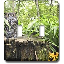 3dRose LLC lsp_13753_2 Horned Owl Double Toggle Switch