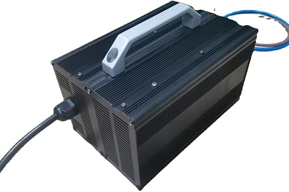12v 100A 24V 60A Charger 29.2V 29.4V 60A 14.6V 60A 12.6V 16.8V 100A for Lithium ion lifepo4 li ion LTO Battery Lead Acid (Color : 12V Lead Acid, Socket Standard : AU)