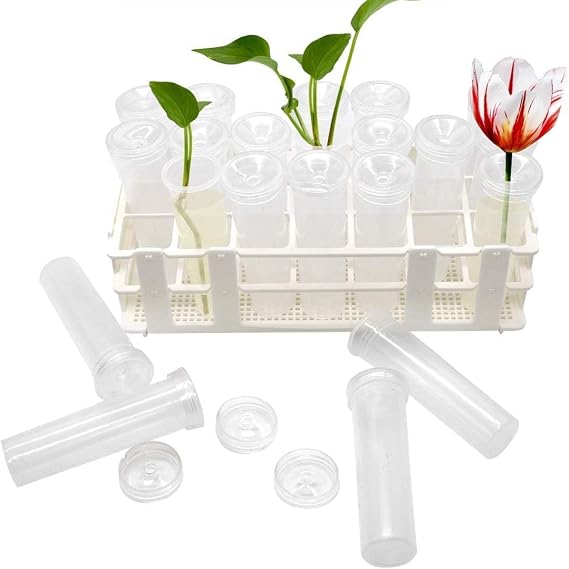 Tirifer 21 Pack 60ml Large Floral Tubes with Rack Holder for Milkweed Cuttings, Raising Caterpillars, Monarchs, Butterflies, Flower Arrangements