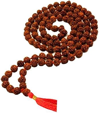TEJVIJ AND SONS 8 mm rudraksha japa mala 108 beads original rudraksha certified mala original rudraksha mala for men rudraksha mala for women jap mala 108