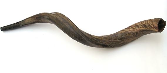 26"-28" Medium Yemenite Kudu Horn Natural Shofar by Peer Hastam, with Anti Odor Spray, Made in Israel