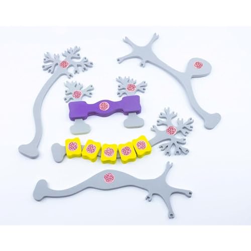 Neuron Modeling Kit