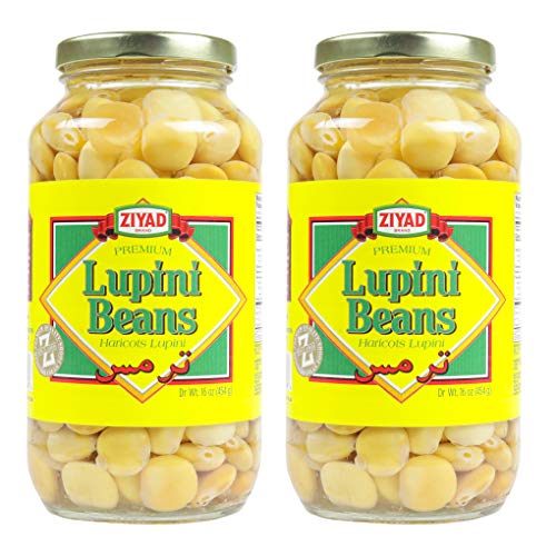 Ziyad Brand Premium Lupini Beans Snack, High Plant Protein, Keto, Mediterranean Diet, Non Perishable, Vegan, Vegetarian, 16 oz Pack of 2