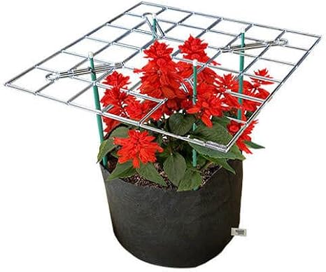 Smart P Scrog with 10 gal Smart Pot