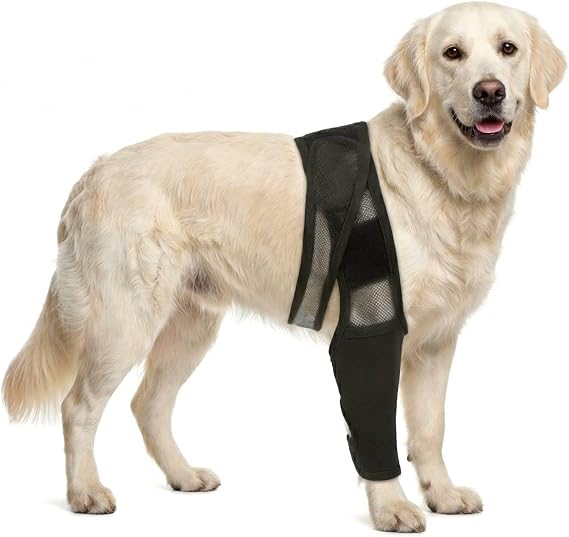 Dog Knee Brace, Dog ACL Brace for Front Torn and Back Hind Rear Legs ACL Tear, Adjustable Support for Arthritis Relief, Relieves Luxating Patella, Arthritis & Hip Dysplasia Fits Left/Right Leg (L)