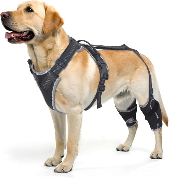 Dog Knee Brace for Torn ACL & Hind Leg Support with Side Stabilizers Adjustable Dog Hip & Leg Brace with Handle for Cruciate Ligament, Arthritis Relief, Joint Stability & Injury Recovery, M
