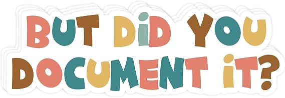 But Did You Document It Sticker Waterproof Vinyl Sticker for Water Bottles, Laptops, Phone Cases & Cars (3PCS, 2)