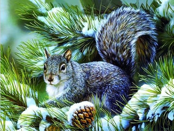 Squirrel 3D Poster Wall Art Decor Print Unframed | 12x16 inches | Lenticular Posters & Pictures | Photo Memorabilia Gifts for Guys & Girls Bedroom