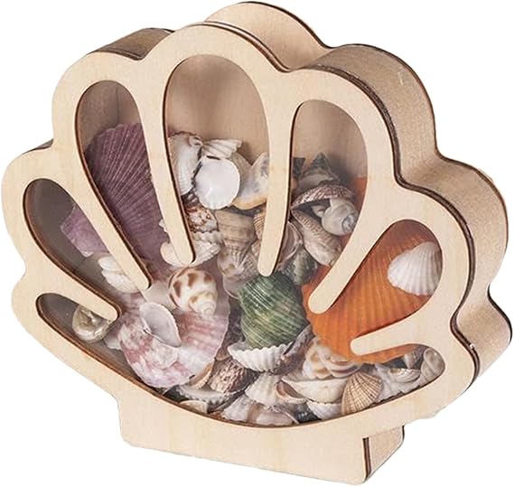 Shell Display Case Wooden Seashell Holder Case