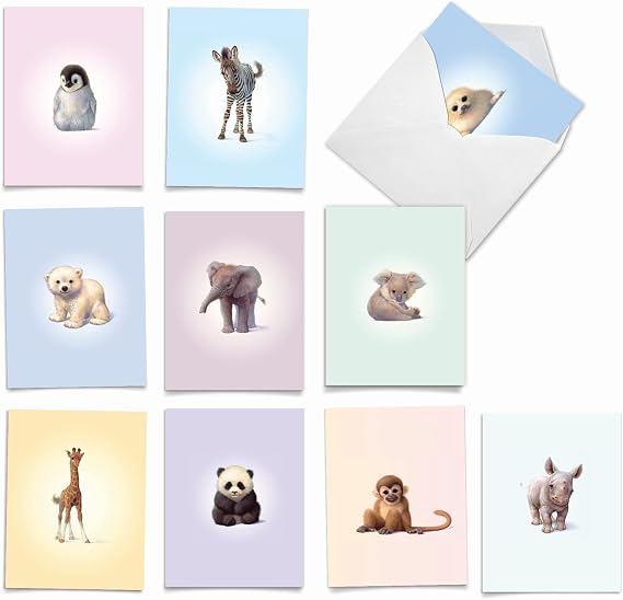 The Best Card Company Assorted Wildlife Watercolor Blank Animal Greeting Card Box Set - 10 Unique Notecards Designs + Envelopes, for Thank You, Invitations, More - Zoo Babies M6726OCB