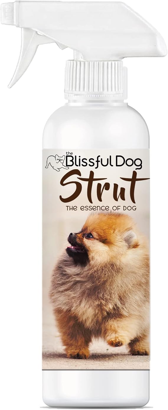 The Blissful Dog Strut Dog Cologne, 16 oz.