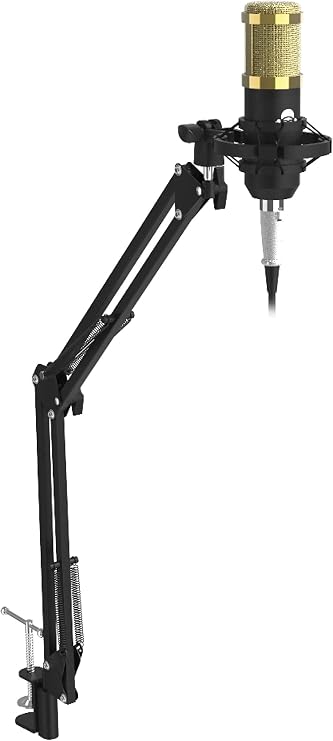 iDANCE Adjustable Suspension Boom Arm Stand, Steel Mic Boom Arm Desk Mount with Clamp and Integrated Shock Mount for Studio, Podcast, Streaming, Boom Arm Microphone Holder (Mic Not Included)