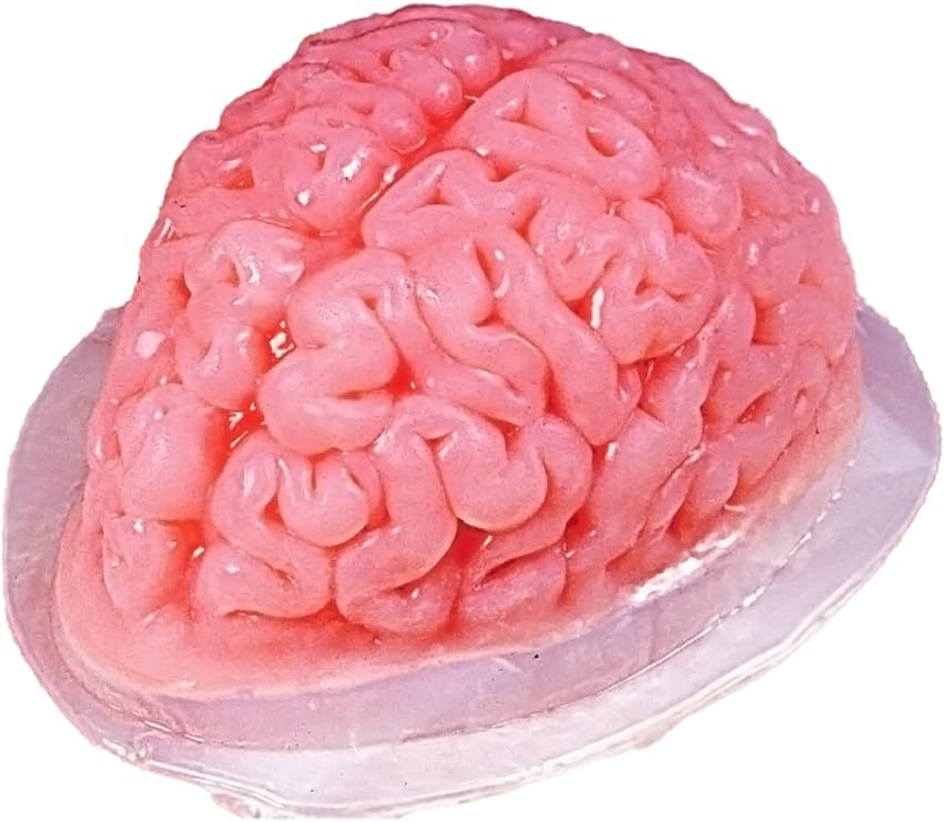 Plastic Brain Jello Mold