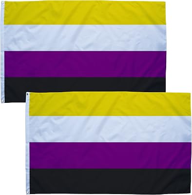 Pride Month LGBT Flags, 3x5FT Polyester Party Decor Flags, Rainbow Home Decor, LGBT Pride Flags for Outdoor, 14x21cm Small Progress Pennant Flags Non-binary-2PCS