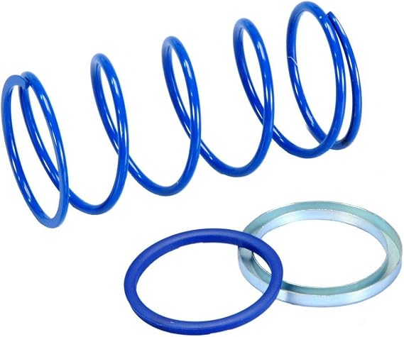 Polini Torque Spring for Yamaha Zuma 50