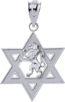 Polished 925 Sterling Silver Israel Lion of Judah Magen David Star Hebrew Pendant