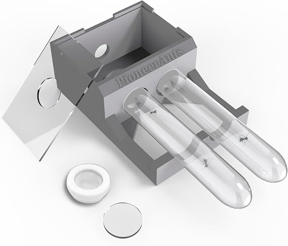Transparent Mini Ant Farm with Dual Test Tubes for Thriving Ant Colony Observation (Gray)
