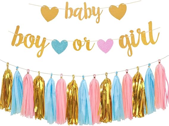 Gender Reveal Decorations with Baby Banner and Boy or Girl Sign 17pcs