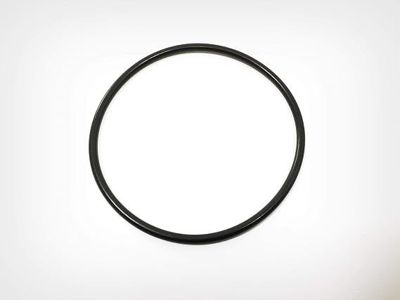 BMW O-Ring:889520