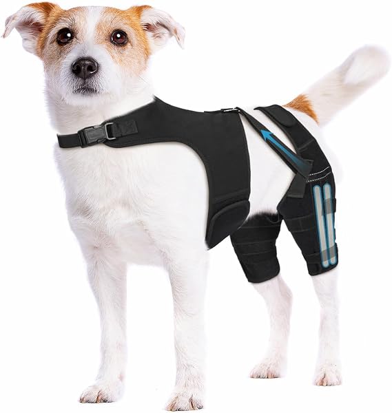 Dog Knee Brace with Metal Stabilizers for Torn ACL Hind Leg, XS