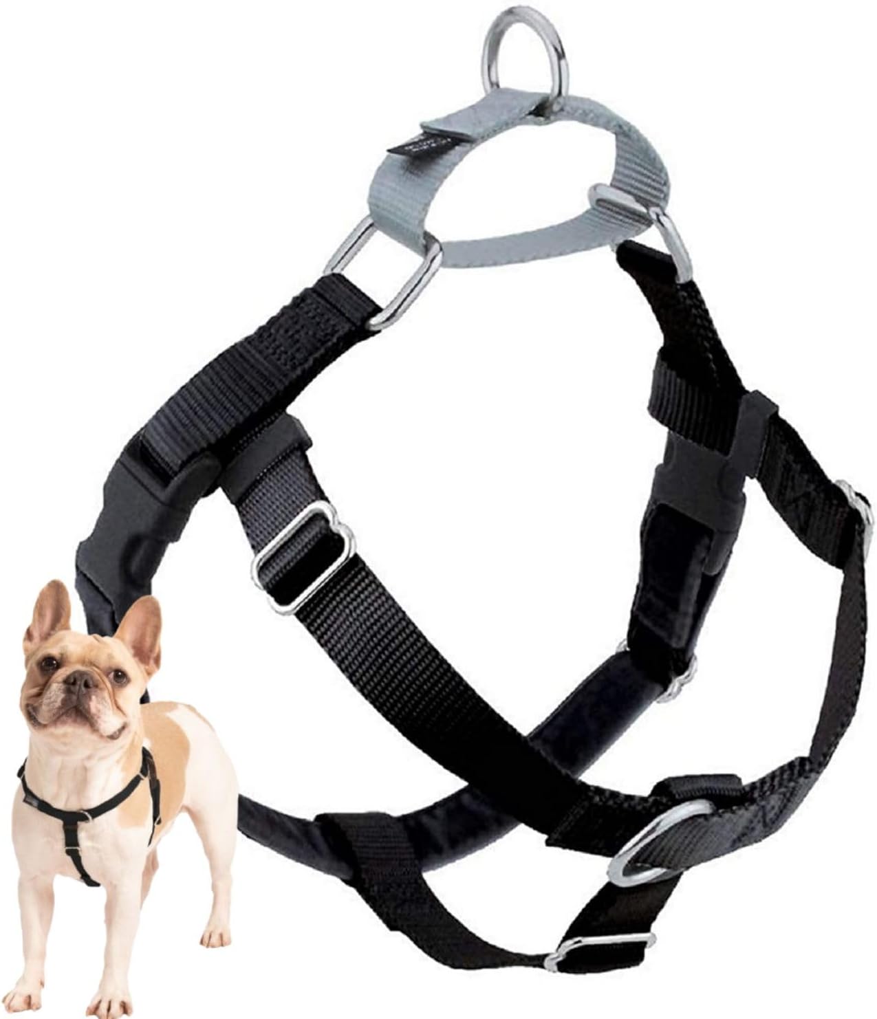 2 Hounds Design Freedom No Pull Dog Harness, Adjustable Harness, Easy Walking & Comfortable Control, Fits Small, Medium & Large Dogs, Solid Colors, Made in USA, 5/8" MD, Red