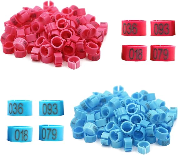 200Pcs Bird Leg Bands, Chicken Birds Leg Rings 8mm Pigeon Ring Numbered Bird Leg Bands Plastic Red Blue Birds Identification Leg Bands Serial Number Rings for Chicks Bantam Quail Lovebirds Finch