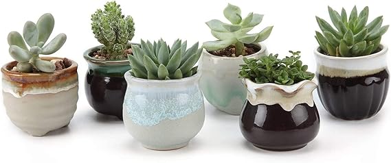 T4U Mini Ceramic Succulent Pots, Small Gift Planters, Retro Decor Set of 6