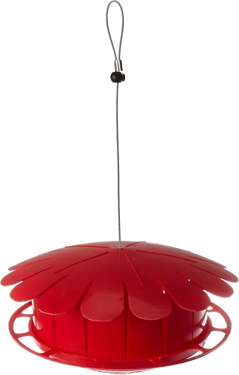 Humm-Bug Hummingbird Feeder