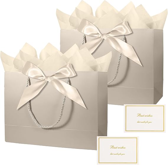 Bliceon 2 Pcs Medium Gift Bags for Presents, Small Gift Bags with Wrapping Paper, Birthday Gifts Bag for Women Men, Celebrations, Birthday Party, Bride Wedding, Valentine's Day (Champagne)