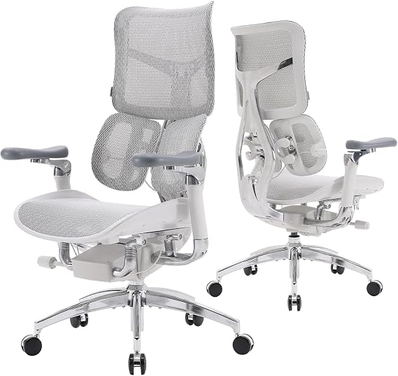 SIHOO Doro S300 Ergonomic Office Chair with Coordinated Body Support