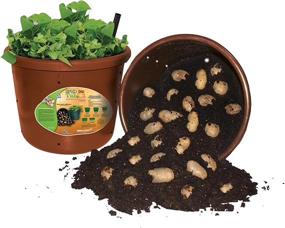 City Pickers Spud Tub Potato Grow Kit Works Great on Decks and Patios Low Maintenance & High Potato Yields