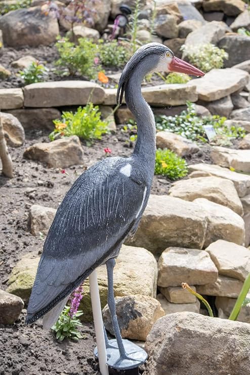 Pond H2o Blue Heron Decoy with Legs & Stake 30'' (76cm) Tall