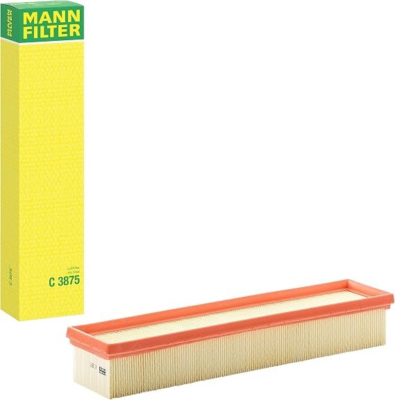 MANN-FILTER Hava Filtresi C 3875 (Renault)