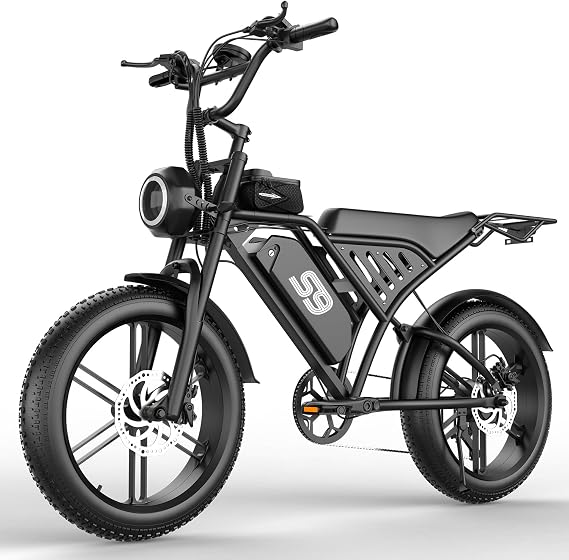 Electric Bike for Adults, 2500W Peak Motor, Up to 36 MPH 65 Miles, 48V 20Ah Removable Battery, 20" Fat Tire Ebike, Color LCD Display, Support Cruise Control, Setting Speed Limit, NFC & Password Unlock
