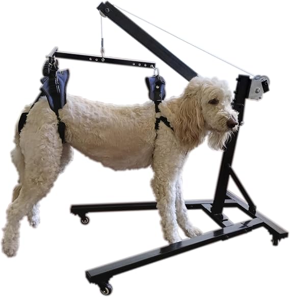 Best Friend Mobility Dog Lift - Lift Large Dogs in and Out of Wheelchairs Easily - Adjustable Dog Washing Station, and Dog Grooming Solution with Heavy-Duty Frame & Bathing Harness
