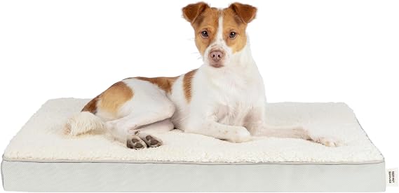 Best Pet Supplies Soft Plush Cute Indoor Dog Bed for Small, Medium, and Large Breeds - Beige, 41x29x4