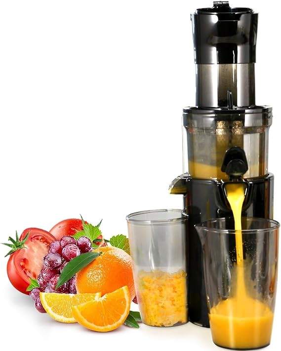 Masticating Juicer Cold Press Juice Extractor Large Feed Chute High Nutrient Fruits Vegetables Easy to Clean