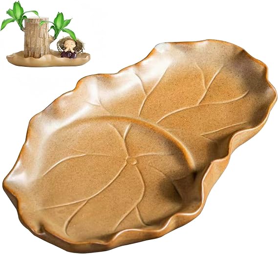 FOWSEEK Brazilian Wood Plant Pot (Plants Not Included) | Ceramic Brazilian Wood Pallet Plant tray, Flower Pots Planters Plant Tray Saucer for Brazilian Lucky Wood Bottom