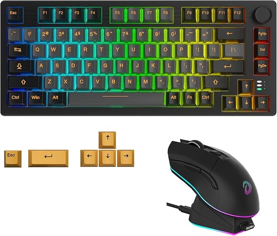 DAREU Wireless Keyboard and Mouse:EM901X Wireless Gaming Mouse & EK75PRO 75% Mechanical Gaming Keyboard Combo