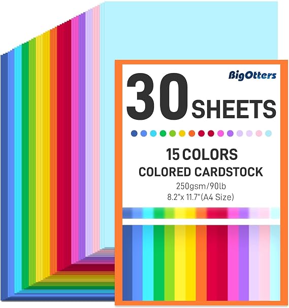 BigOtters 30 Sheets 8.2" 11.7" Colored Cardstock, 15 Assorted Colors Card Stock Printer Paper for Printing, Card Making, DIY Crafts, Kids School Supplies,Party Decorations,90lb/ 250GSM